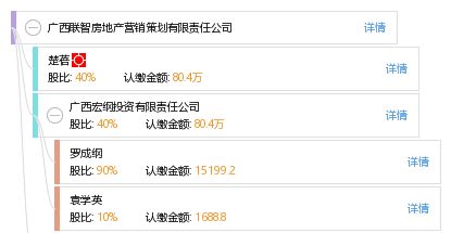 廣西聯(lián)智房地產(chǎn)營銷策劃有限責(zé)任公司 專業(yè)賦能，智領(lǐng)房地產(chǎn)營銷新篇章