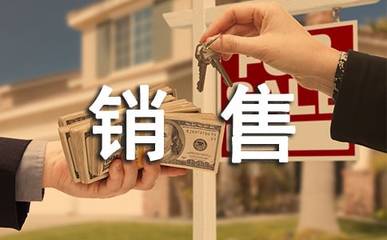 大地房地產(chǎn)2025年新年銷售工作計(jì)劃與營銷策略